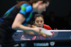 WhatsApp-Image-2026-02-08-at-14.32.38